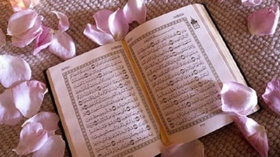 كيف نطبق القرآن الكريم في حياتنا ؟