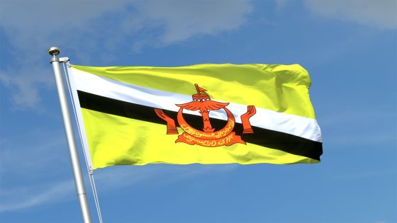 ما معنى ألوان علم بروناي؟