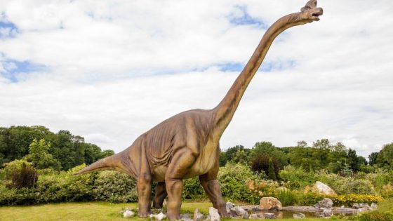 أهم المعلومات عن الديناصور ديبلودوكس