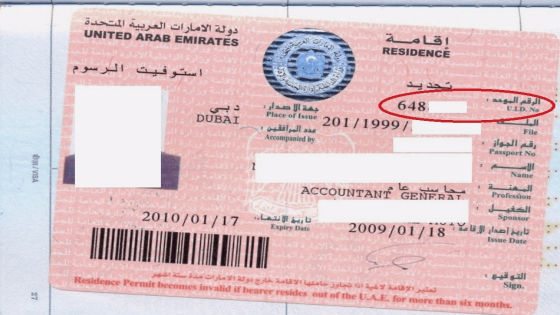 تأشيرة الإمارات الإلكترونية للمصريين والخليجيين