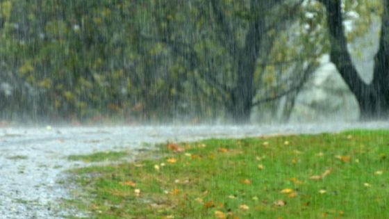 أهم المعلومات عن الأمطار الغزيرة