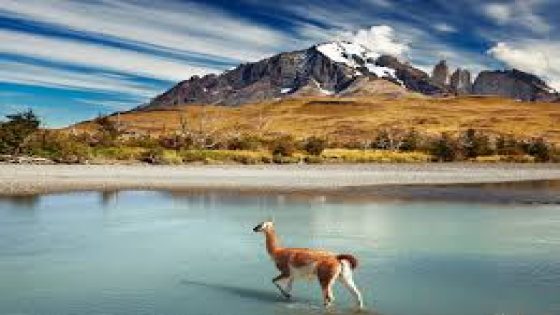 السياحة في تشيلي