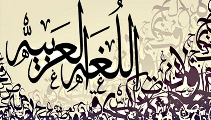 ما هي أهمية اللغة العربية المصطبة