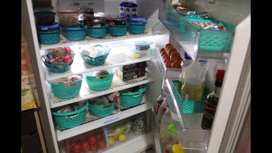 تنظيم الثلاجة
