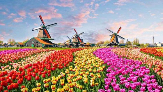 بماذا تشتهر دولة هولندا؟