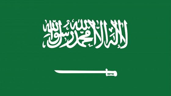 ما معنى ألوان علم السعودية؟