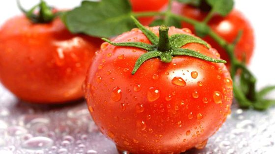 ما هي فوائد أكل الطماطم ؟