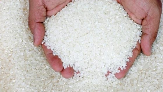 مشروع تجارة الأرز الأبيض بالتجزئة