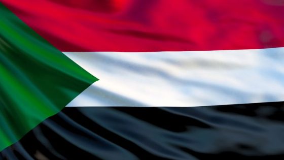 ما هو نظام الحكم في السودان؟